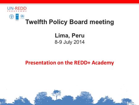 Twelfth Policy Board meeting Lima, Peru 8-9 July 2014 Presentation on the REDD+ Academy.