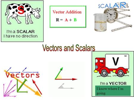 I know where I’m going. A scalar is a quantity described by just a number, usually with units. It can be positive, negative, or zero. Examples: –Distance.