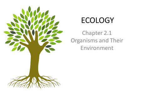 ECOLOGY Chapter 2.1 Organisms and Their Environment.
