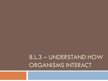 8.L.3 – UNDERSTAND HOW ORGANISMS INTERACT. Explain how factors such as food, water, shelter, and space affect populations in an ecosystem. 8.L.3.1.