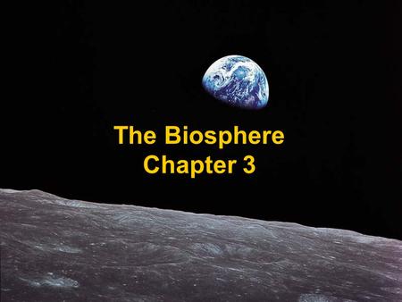 The Biosphere Chapter 3. Section 1: What is Ecology? Ecology – the scientific study of interactions among organisms and between organisms and their environment,