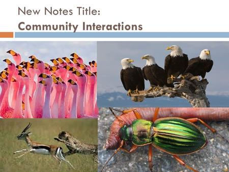 New Notes Title: Community Interactions. Do now 1/20  Name 1 of the 4 types of symbiosis.