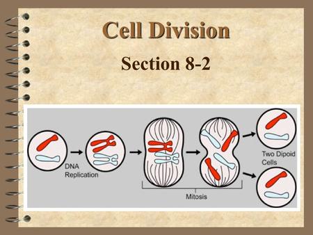 Cell Division Section 8-2. Objectives 4 Describe the events of binary fission Describe each phase of the cell cycle 4 Summarize the phases of mitosis.