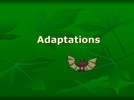 Adaptations Adaptations. Types of Adaptation Anything that helps an organism survive in its environment Anything that helps an organism survive in its.