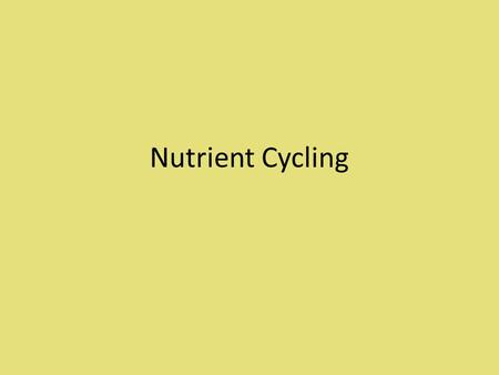 Nutrient Cycling. Essential Questions Why is nutrient cycling important? What are the four most important nutrients that ecosystems rely on? Describe.