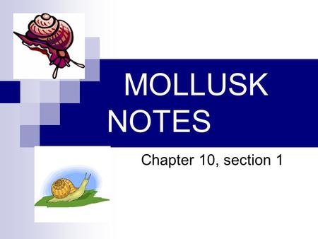 MOLLUSK NOTES Chapter 10, section 1. A. Characteristics of Mollusks 1. Body Structure a. Bilateral symmetry b. Digestive system with 2 openings.