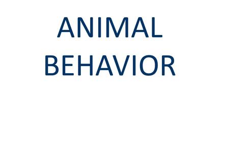 ANIMAL BEHAVIOR. Behavior  Behavior can occur in response to an internal or external stimulus.  Study of behavior and its relationship to evolutionary.