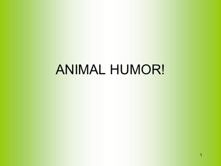 1 ANIMAL HUMOR!. 2 Run when you need to! 3 Give lots of Kisses!
