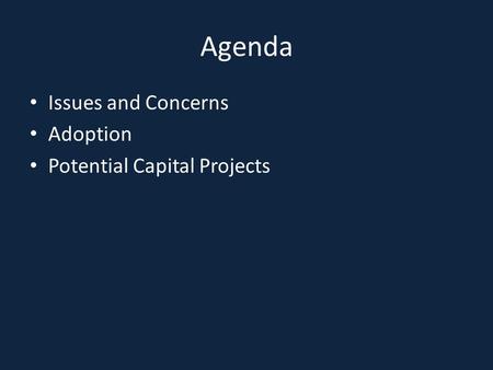 Agenda Issues and Concerns Adoption Potential Capital Projects.