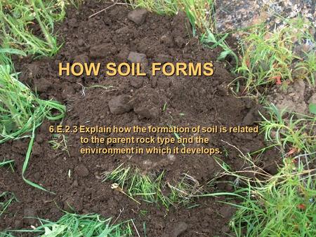 HOW SOIL FORMS 6.E.2.3 Explain how the formation of soil is related to the parent rock type and the environment in which it.