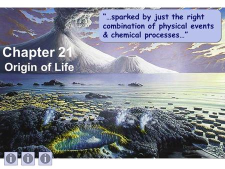 Chapter 21 Origin of Life “…sparked by just the right combination of physical events & chemical processes…”