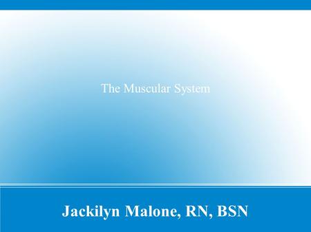 Jackilyn Malone, RN, BSN The Muscular System. ● How many muscles are in the human body? – OVER 600!!