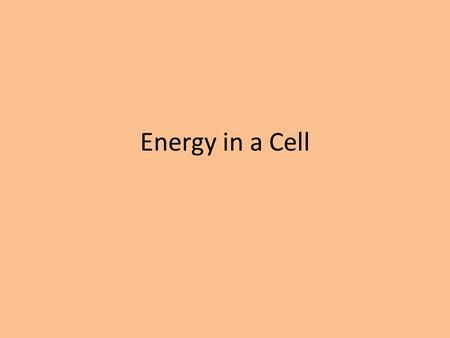 Energy in a Cell. Cells need energy to do work. Cells use chemical energy, which is stored in the chemical bonds of food (glucose, C6H12O6) Energy is.