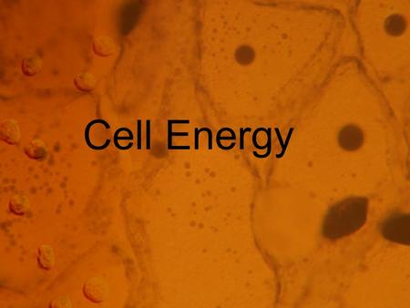 Cell Energy. From Sun to Cell Nearly all the energy that fuels life comes from the sun. The energy is captured by plants through photosynthesis. Photosynthesis.