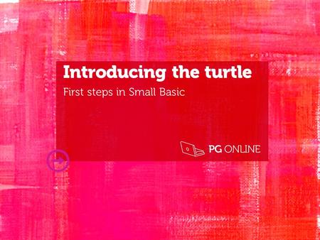 Introducing the turtle