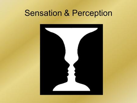 Sensation & Perception. An Introductory Activity Researchers have found that our experiences influence our perceptions Look at the following photographs.