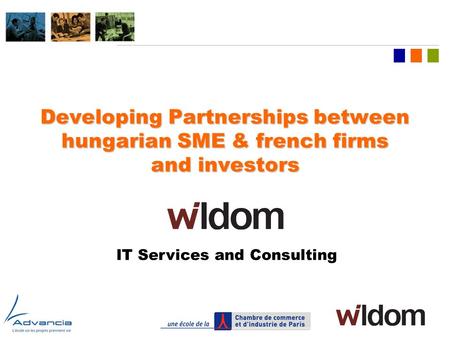 LOGO OF COMPANY Developing Partnerships between hungarian SME & french firms and investors IT Services and Consulting.