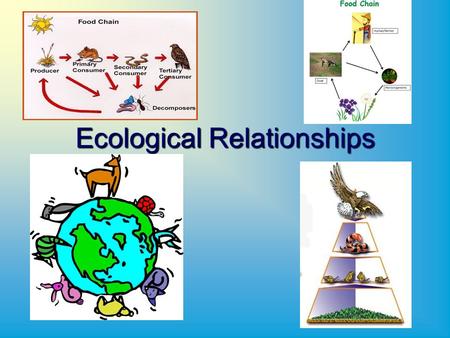Ecological Relationships. Biosphere  The biosphere is the portion of the earth in which living things and non-living things exist.  The ecosystem is.