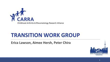 TRANSITION WORK GROUP Erica Lawson, Aimee Hersh, Peter Chira 1.