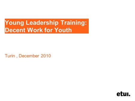 Young Leadership Training: Decent Work for Youth Turin, December 2010.