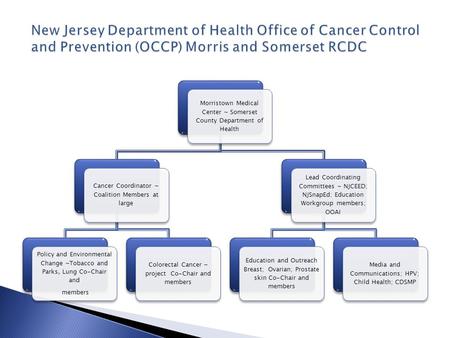 Morristown Medical Center ~ Somerset County Department of Health Cancer Coordinator ~ Coalition Members at large Policy and Environmental Change ~Tobacco.