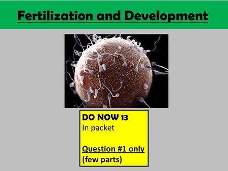 Fertilization and Development DO NOW 13 In packet Question #1 only (few parts)
