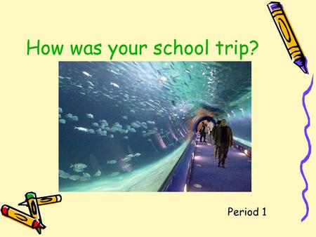 How was your school trip? Period 1 Ask and answer in pairs. --How was your weekend? --It was fantastic/great/OK/boring. --What did you do last weekend?
