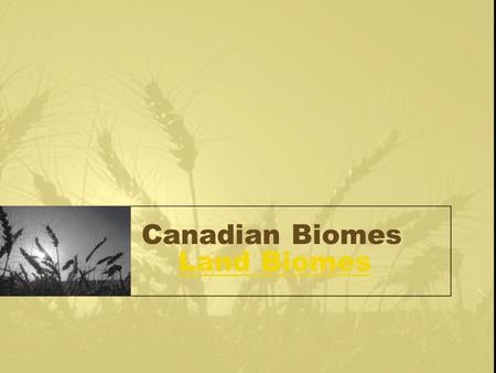 Canadian Biomes Land Biomes