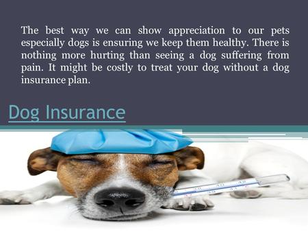 healthy pets insurance
