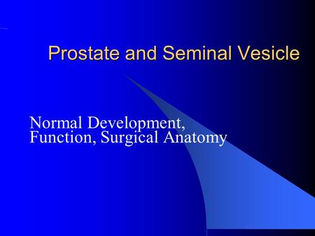 Prostate and Seminal Vesicle Normal Development, Function, Surgical Anatomy.