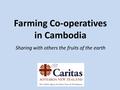 Farming Co-operatives in Cambodia Sharing with others the fruits of the earth.