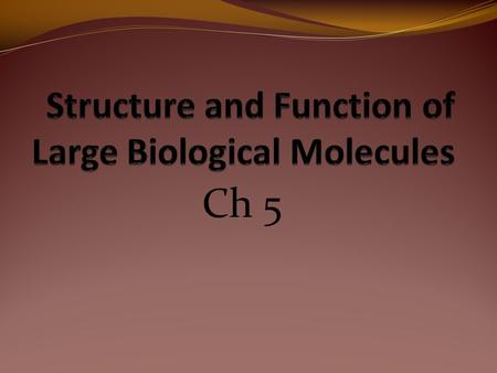 Ch 5. Large Biological Molecules Critically important molecules in all living things divided into 4 classes: Lipids (fats) Carbohydrates (sugars) Proteins.