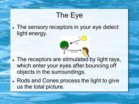 The Eye The sensory receptors in your eye detect light energy. The receptors are stimulated by light rays, which enter your eyes after bouncing off objects.