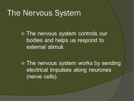 The Nervous System  The nervous system controls our bodies and helps us respond to external stimuli.  The nervous system works by sending electrical.