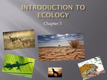 Chapter 3.  By ecology, we mean the body of knowledge concerning the economy of nature -- the investigation of the total relations of the animal both.