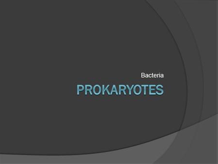 Bacteria. Prokaryotic Structures Capsule: (not shown) sometimes surrounds pathogenic bacteria as an added layer of protection.