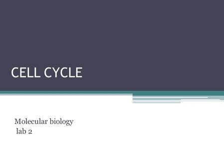 Mitotic Cell Division. Biology Diagrams
