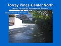 Torrey Pines Center North North: Technically Inaccessible Element Steep vehicular traffic lane.