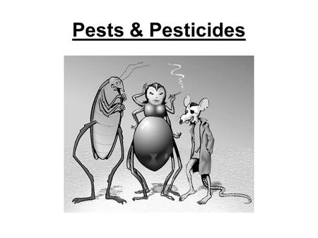 Pests & Pesticides. What is a pest? Pests are organisms that ______________________________________ –May contribute to ______________ loss Pests that.