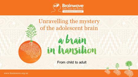 Www.brainwave.org.nz Unravelling the mystery of the adolescent brain From child to adult.