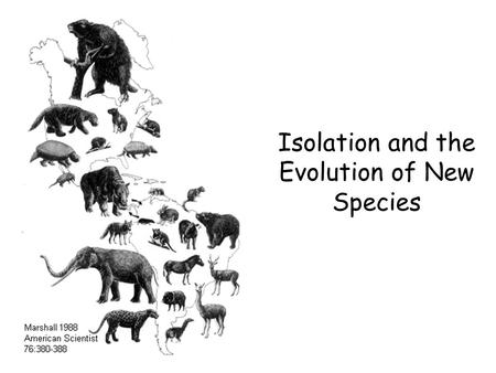 Isolation and the Evolution of New Species. Learning Objectives 1.To know how new species arise. 1.To understand how a population becomes isolated. 1.To.