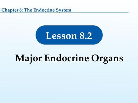 Lesson 8.2 Major Endocrine Organs Chapter 8: The Endocrine System.