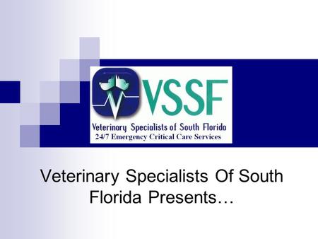 Veterinary Specialists Of South Florida Presents….