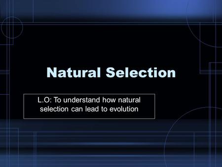 Natural Selection L.O: To understand how natural selection can lead to evolution.