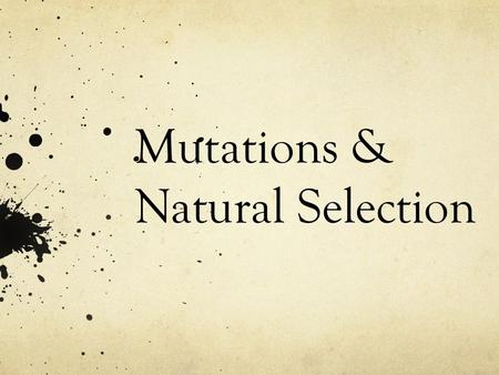 Mutations & Natural Selection. Definition of Mutation = A random change in an organism’s DNA Can be inherited – passed down from a parent to their offspring.