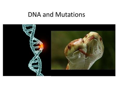 DNA and Mutations. What is DNA? DNA (Deoxyribonucleic acid) is found in all living things. It is the carrier of genetic information.