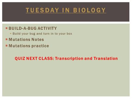  BUILD-A-BUG ACTIVITY  Build your bug and turn in to your box  Mutations Notes  Mutations practice QUIZ NEXT CLASS: Transcription and Translation TUESDAY.