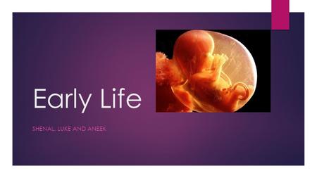 Early Life SHENAL, LUKE AND ANEEK. Key terms  Viability: when the baby can survive outside the womb- early as 24(debatable) weeks  Abortion: the deliberate.