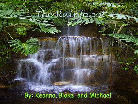 The Rainforest By: Keanna, Blake, and Michael. What is a rain forest? A rainforest is a place near the equator and is hot and humid. It rains almost everyday.