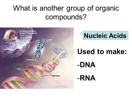 What is another group of organic compounds? Nucleic Acids Used to make: -DNA -RNA.